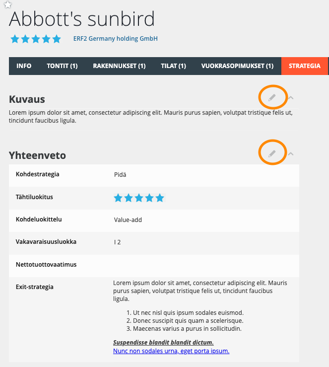 strategy_description_and_summary_FI.png